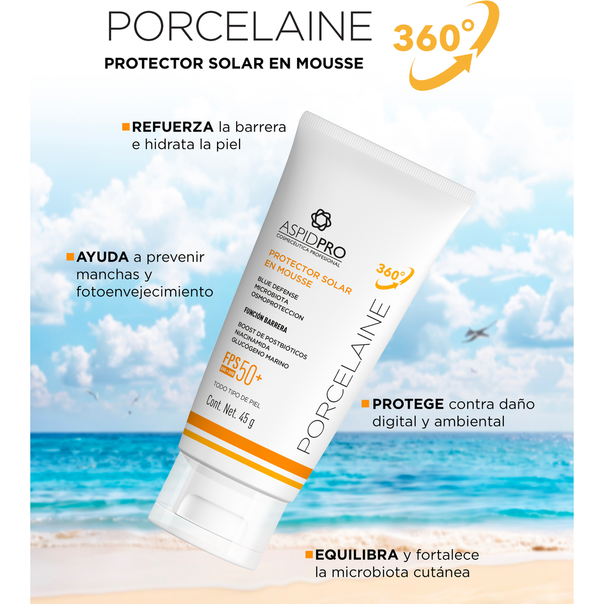 Porcelaine 360°